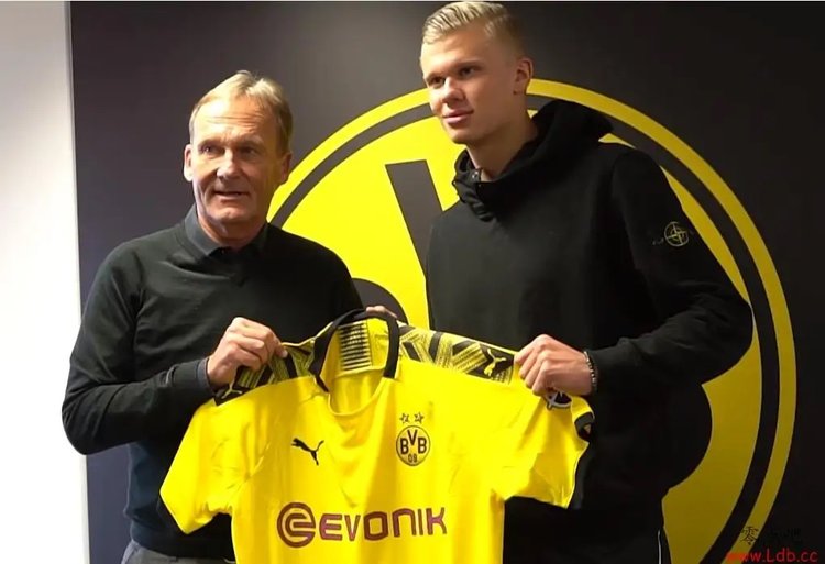 转会回报 转会回报